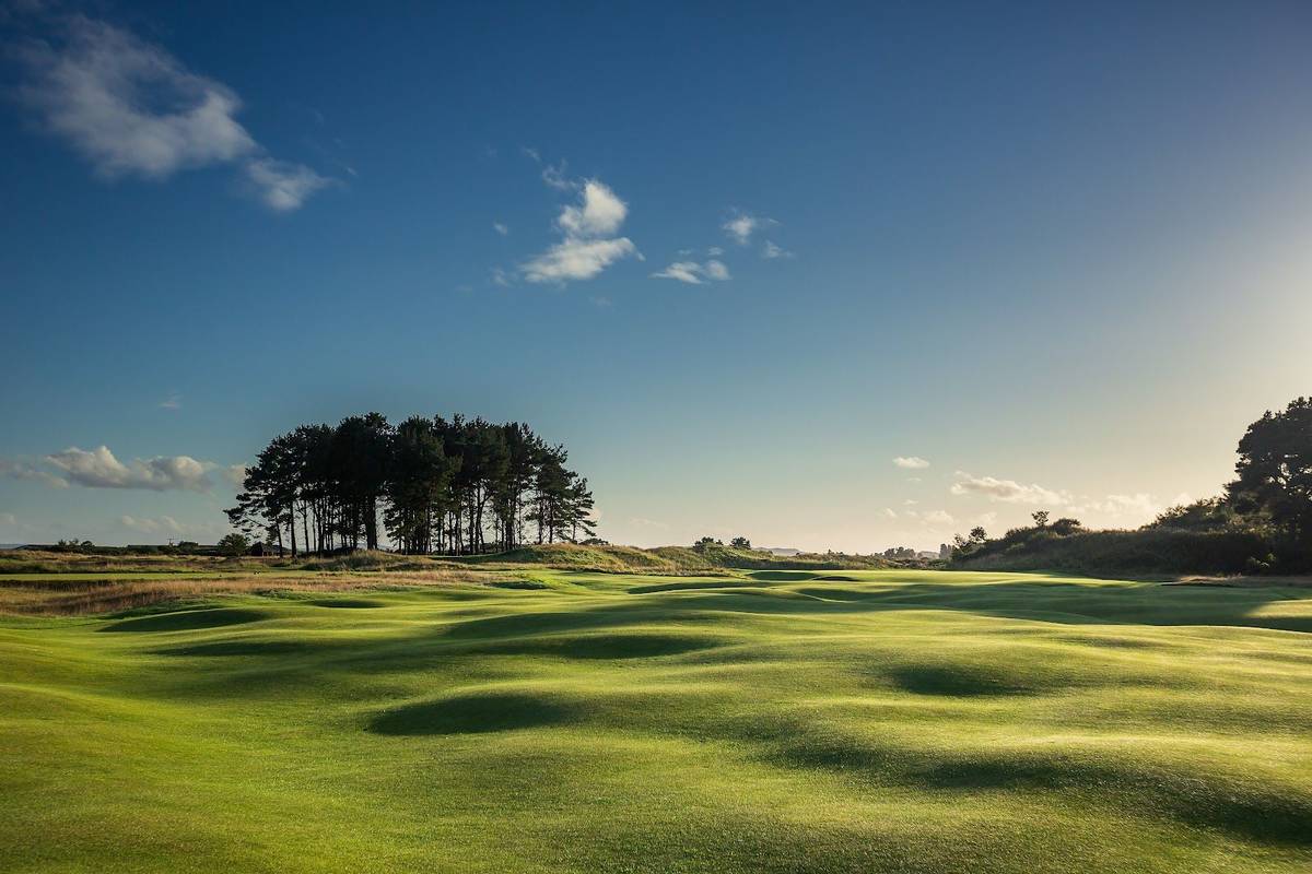 Panmure Golf Club golf course