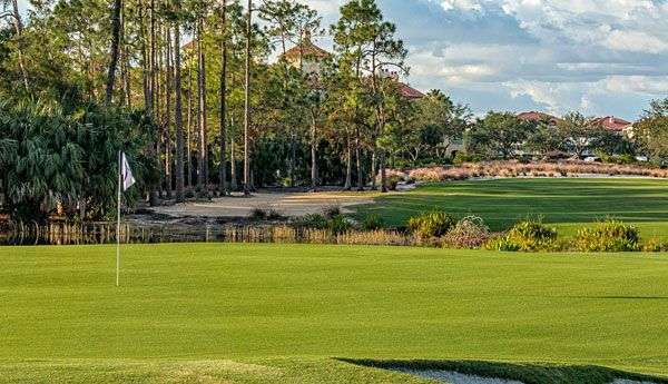 Tiburón Golf Club (Black)