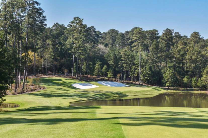 Bluejack National