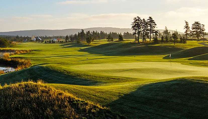 Bally Haly (South)