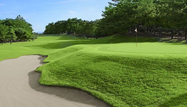 【中古本】The History of GOLF in Japan世界ゴルフ大観 中古本】The History of GOLF in Japan世界ゴルフ大観 - メルカリ