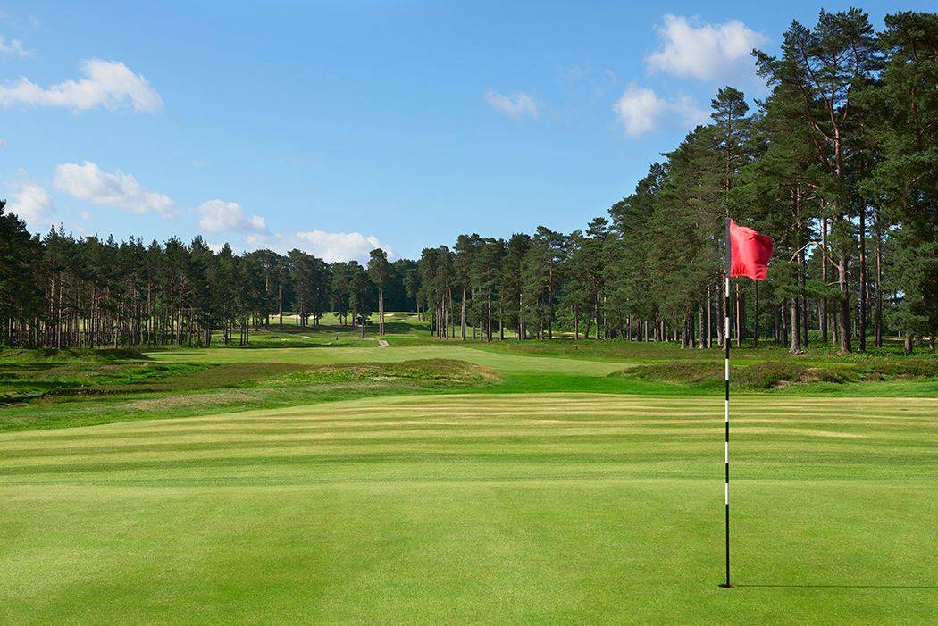 Swinley Forest Golf Club golf course