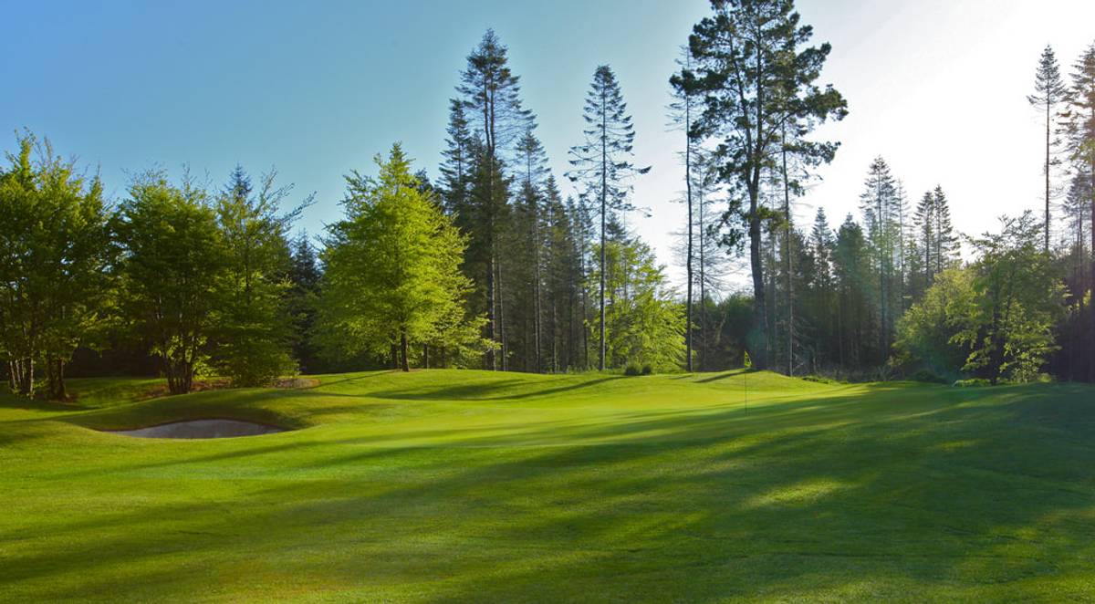 Athenry Golf Club golf course