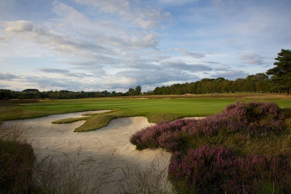 Moortown Golf Club golf course