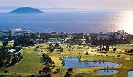 Porto Carras (Olive Grove)