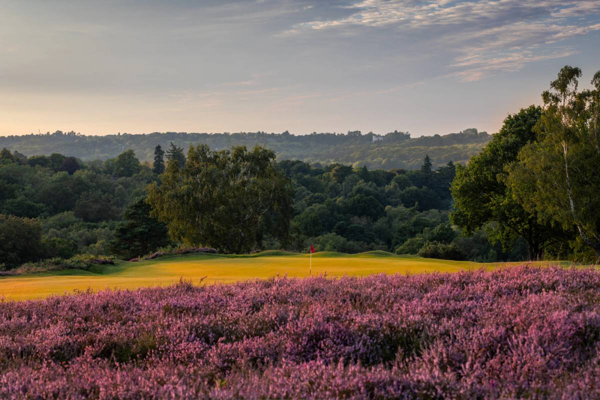 Royal Ashdown Forest Golf Club (Old) golf course