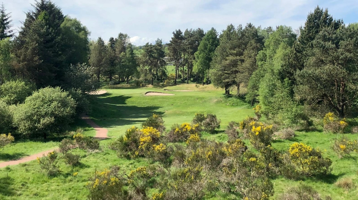 Hayston Golf Club golf course