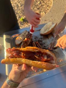 Sausage