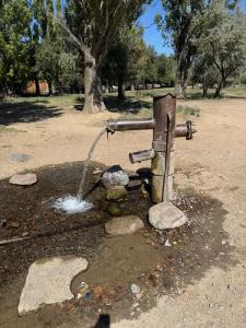 Fountain