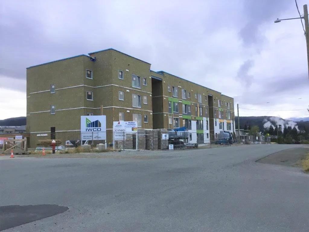 Maitland Street Village content image