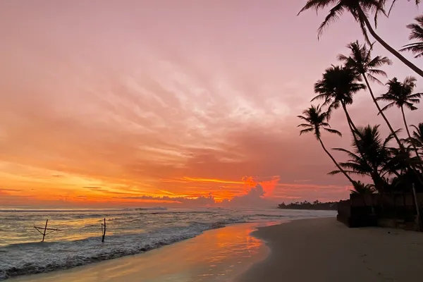 Kabalana Beach, Ahangama: The Complete Surf Guide (2026)