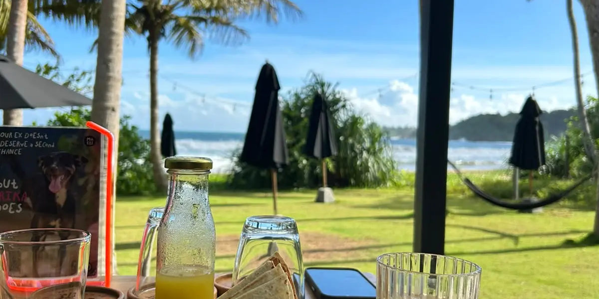 Garden seating under palm trees at Mutts Street Dog Café on Talalla Beach near Matara, Sri Lanka