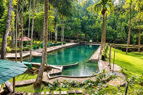 Gurubewula Natural Pool, Morawaka: A Local Guide to the Estate Pool Near Deniyaya