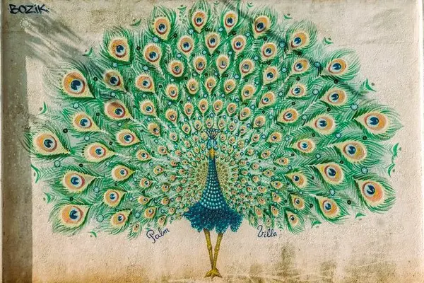 The Peacock Mural, Mirissa: Location & Sri Lanka Street Art