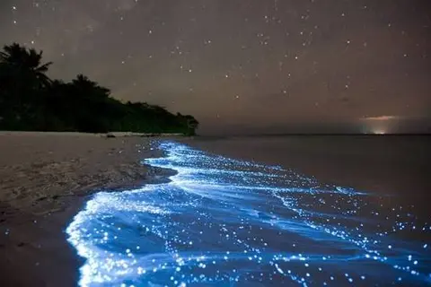 Bioluminescence on the South Coast of Sri Lanka: An Honest Guide to Glowing Seas