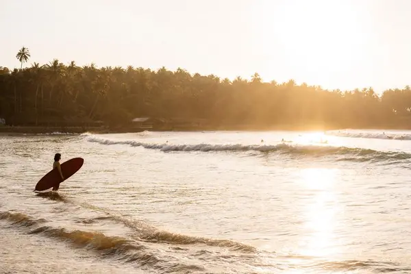 Surfer walking into the waves at sunset in Hiriketiya