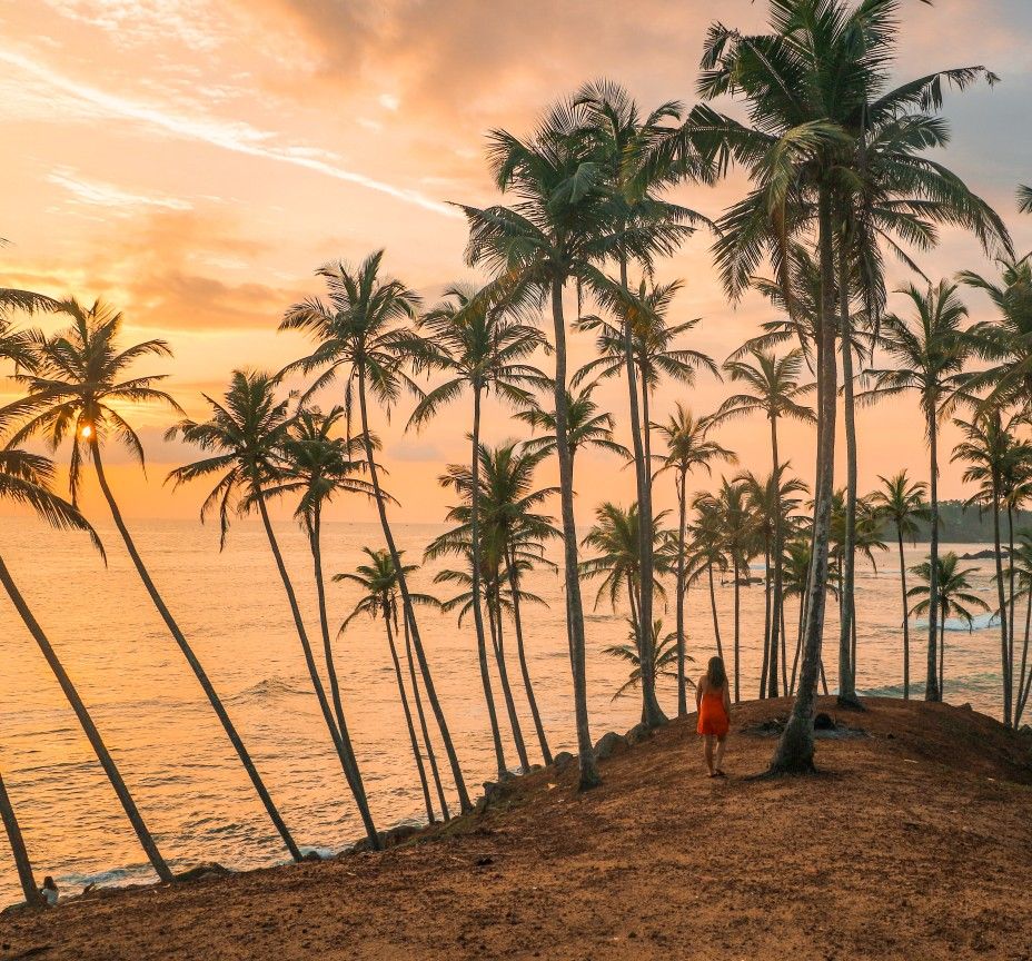 Sunset over Coconut Tree Hill in Mirissa
