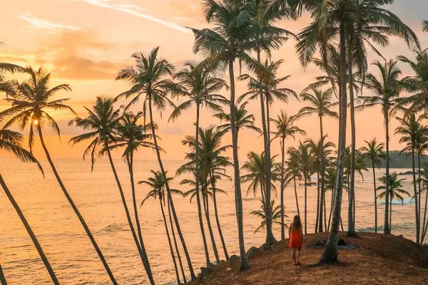 Sunset over Coconut Tree Hill in Mirissa