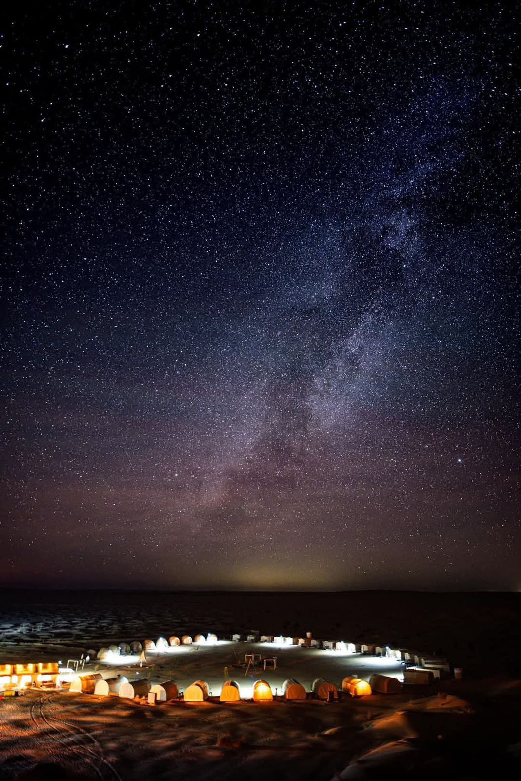 The Nightlife Experience