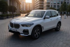BMW X5 xDrive25d