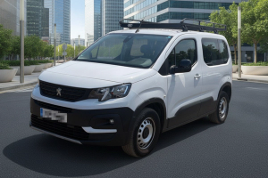 PEUGEOT RIFTER Active Pack Business Std. BlueHDi 100