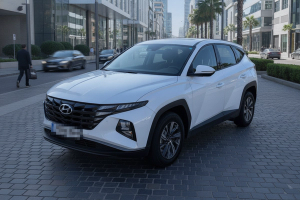HYUNDAI TUCSON 1.6 TGDI 110kW (150CV) Klass