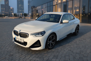 BMW SERIES 2 220iA