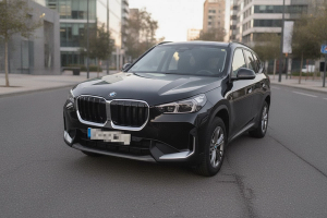 BMW X1 xDrive25e