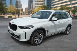 BMW X5 xDrive50e