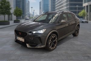 CUPRA FORMENTOR 2.0 TDI 110kW (150 CV) 4Drive DSG