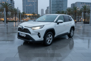 TOYOTA RAV4 2.5l 220H Business