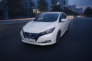 NISSAN LEAF 62kWh e+ Acenta