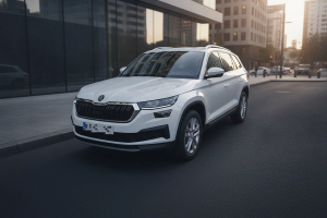 SKODA KODIAQ 2.0 TDI 110KW (150cv) DSG 4x4 Ambition