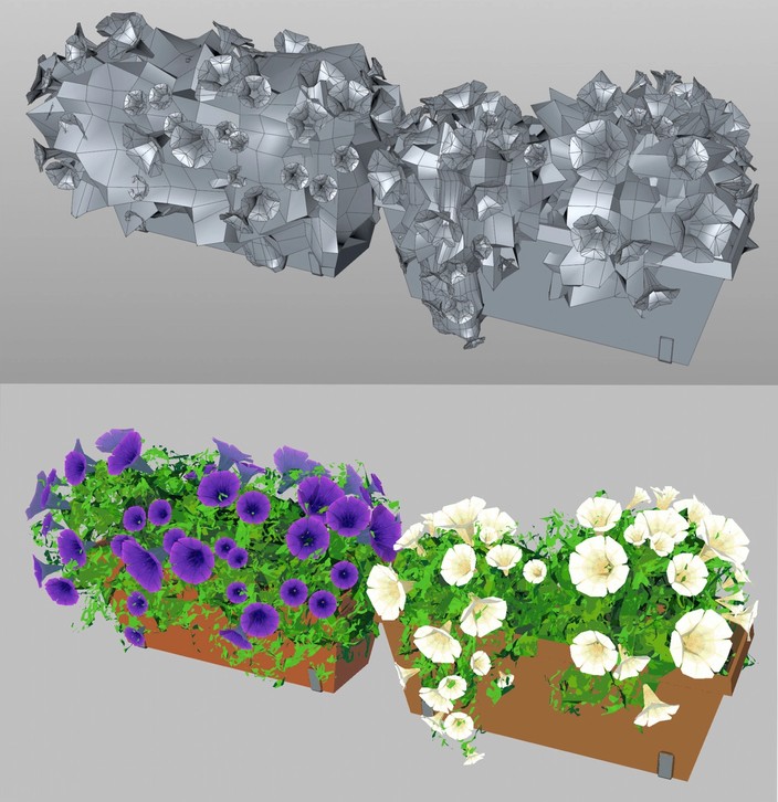 Simple 3D model of petunia flowers