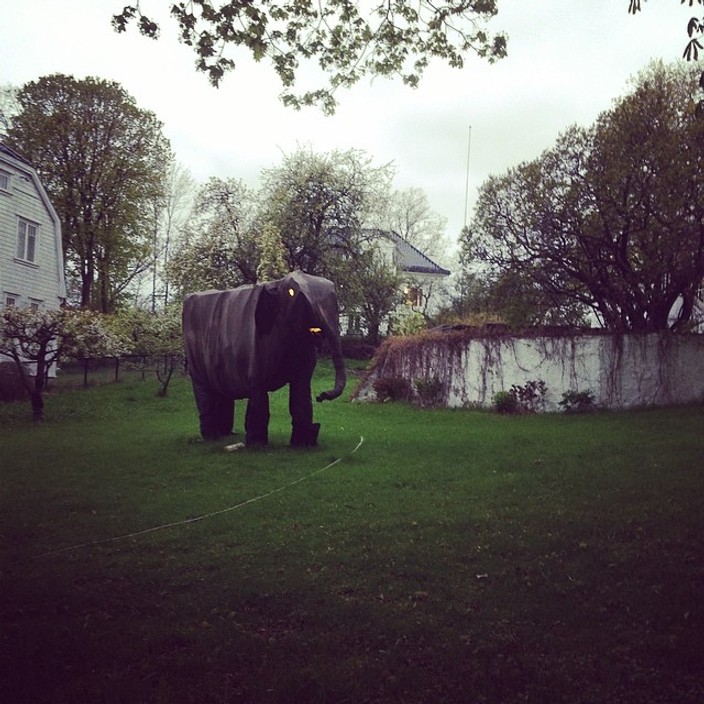 Garden elephant statue near Ullevål, Oslo