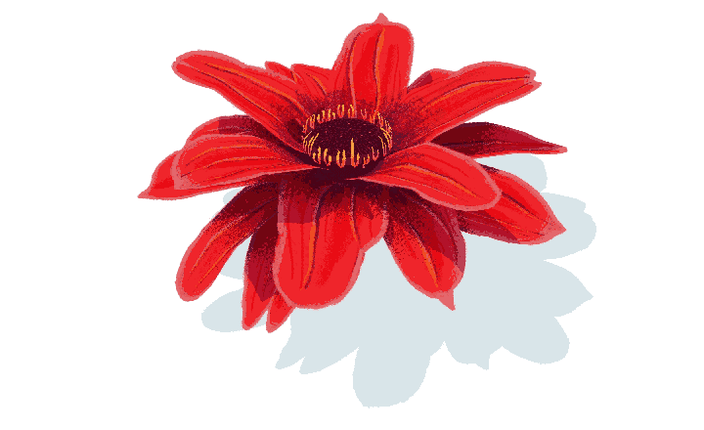 Animated GIF: spinning turntable animation of textured flower model.