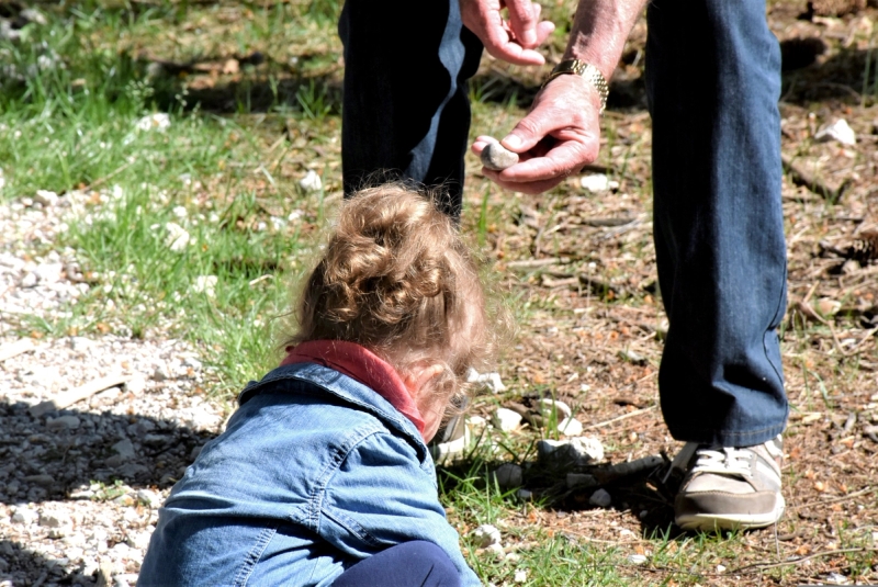 Pige kigger på sten i naturen
