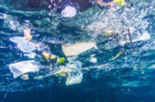 Plastic Pollution - IUCN Issues Brief