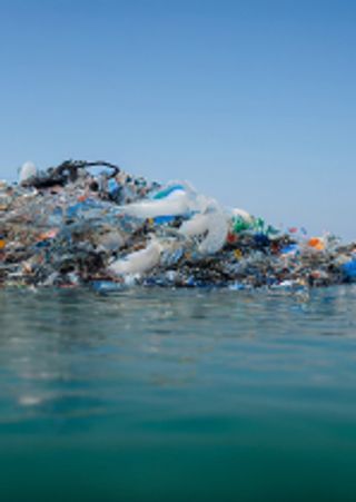 From pollution to solution - a global assessment of marine litter and plastic pollution