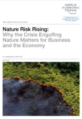 Nature risk rising: why the crisis engulfing nature matters for business and the economy