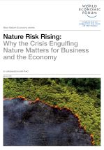 Nature risk rising: why the crisis engulfing nature matters for business and the economy