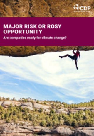 Major risk or rosy opportunity. Are companies ready for climate change?