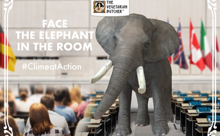 face the elephant in the room