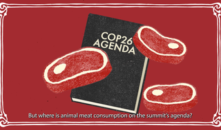 but where is animal meat consumption on the summit's agenda?
