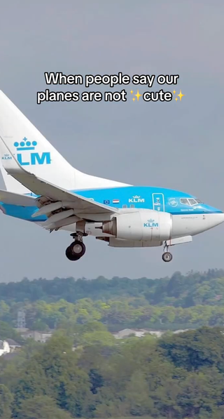 when people say our planes are not cute