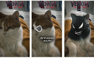 how the filter works