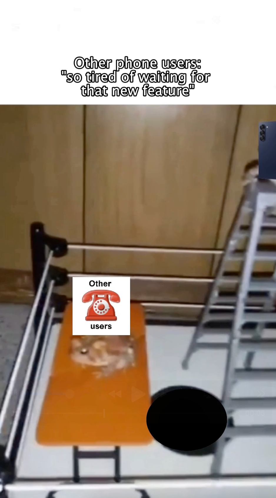 samsung brain rot content