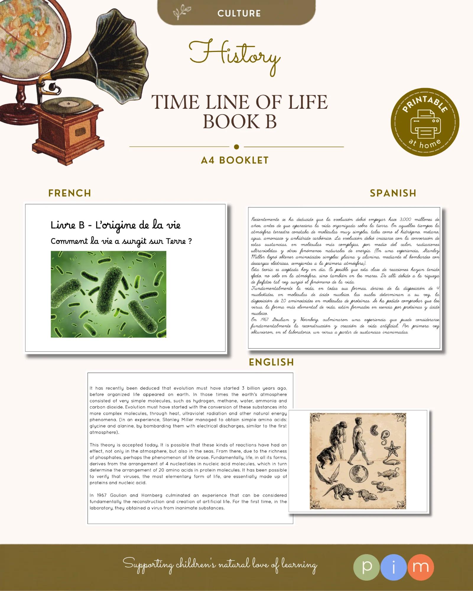 11. Livre B – Ligne de la Vie : L'origine de la vie