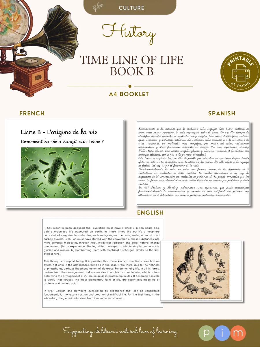 11. Livre B – Ligne de la Vie : L'origine de la vie