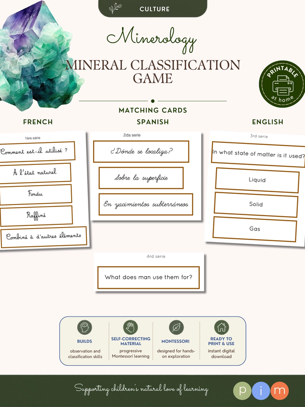 2. Jeu de classification du règne minéral